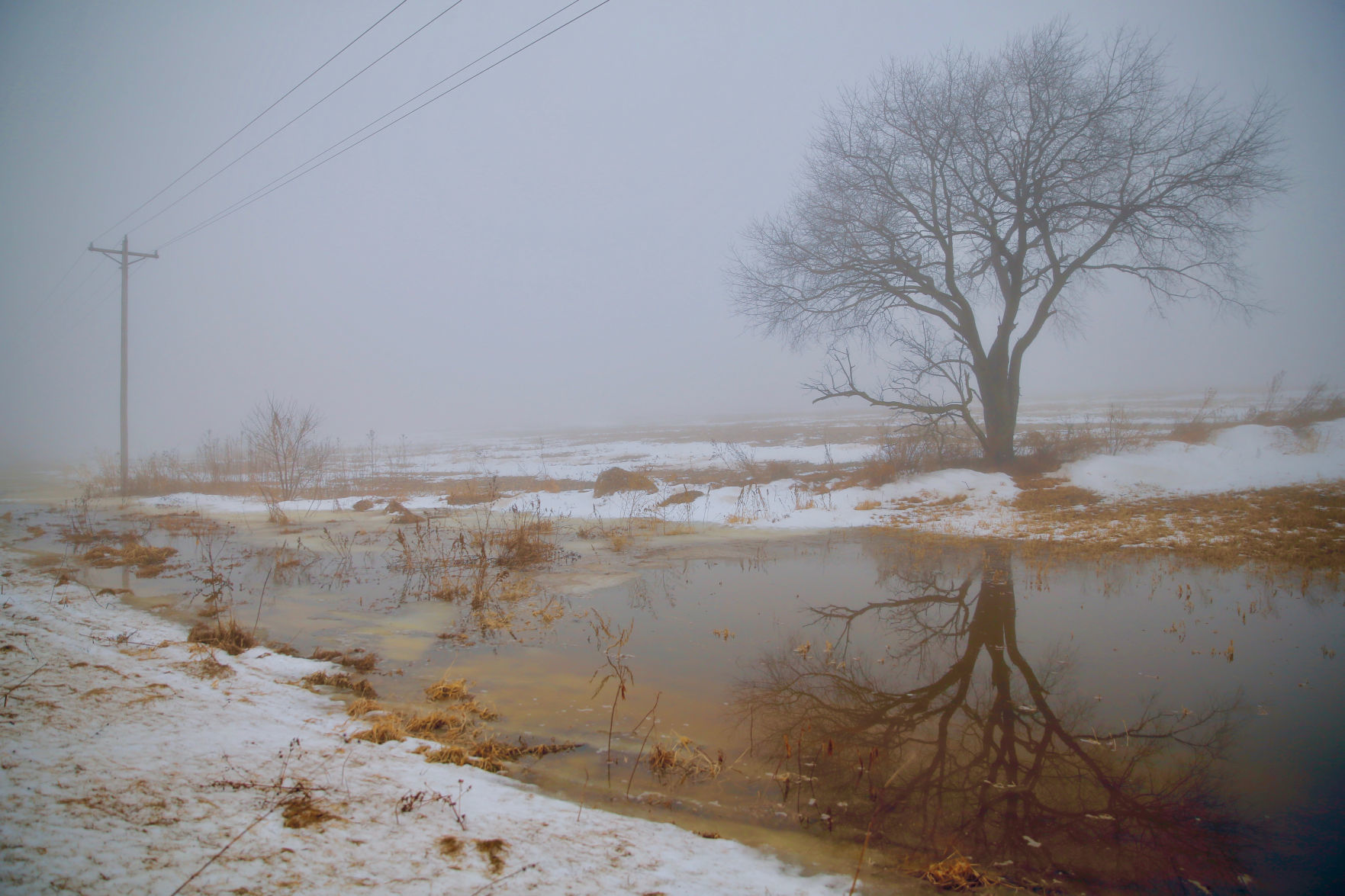 Winter 1